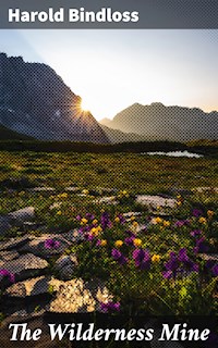 The Wilderness Mine - Harold Bindloss - E-Book