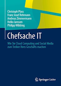 Chefsache IT - Christoph Plass - E-Book