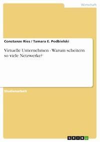 Virtuelle Unternehmen - Warum scheitern so viele Netzwerke? - Constanze Ries - E-Book