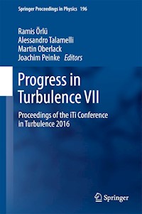 Progress in Turbulence VII -  - E-Book
