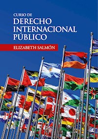 Curso de derecho internacional público - Elizabeth Salmón - E-Book