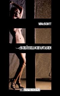 Schlüssellochfantasien - Nina Schott - E-Book
