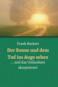 Der Sonne und dem Tod ins Auge sehen - Frank Beckert - E-Book