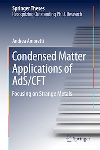 Condensed Matter Applications of AdS/CFT - Andrea Amoretti - E-Book