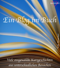 Ein Blog im Buch - Tobi Kraemer - E-Book