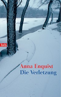 Die Verletzung - Anna Enquist - E-Book