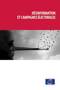 Désinformation et campagnes électorales - Yves-Marie Doublet - E-Book