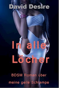 In alle Löcher - David Desire - E-Book