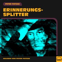 Erinnerungssplitter - Peter Patzak - Hörbuch