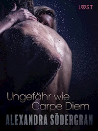 Ungefähr wie Carpe Diem: Erotische Novelle - Alexandra Södergran - E-Book
