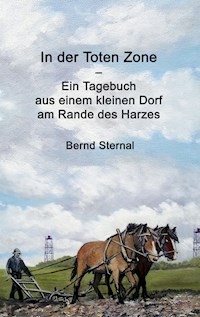 In der Toten Zone - Bernd Sternal - E-Book