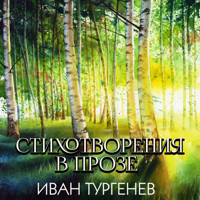 Стихотворения в прозе - Ivan Turgenev - Hörbuch