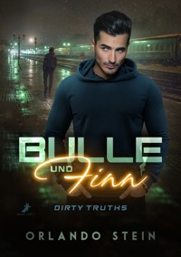 Bulle und Finn: Dirty Truths - Orlando Stein - E-Book