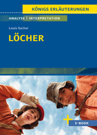 Löcher von Louis Sachar - Textanalyse und Interpretation - Louis Sachar - E-Book