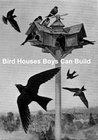 Bird Houses Boys Can Build - Albert Siepert - E-Book