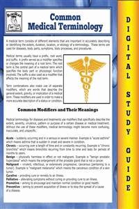Common Medical Terminology (Blokehead Easy Study Guide) - Scott Green - E-Book