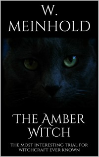 The Amber Witch - Wilhelm Meinhold - E-Book