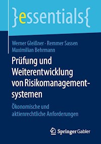 Prüfung und Weiterentwicklung von Risikomanagementsystemen - Werner Gleißner - E-Book