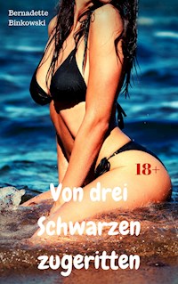 Von drei Schwarzen zugeritten - Bernadette Binkowski - E-Book