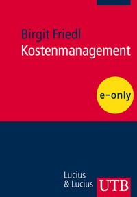 Kostenmanagement - Birgit Friedl - E-Book