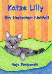 Katze Lilly – Ein tierischer Notfall - Anja Pompowski - kostenlos E-Book