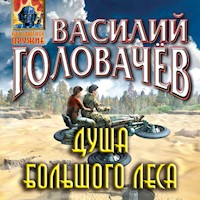Душа большого леса - Василий Головачёв - Hörbuch