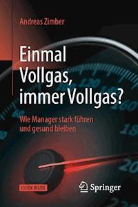 Einmal Vollgas, immer Vollgas? - Andreas Zimber - E-Book