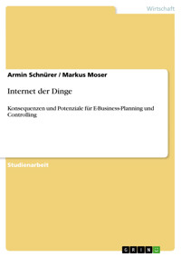 Internet der Dinge - Armin Schnürer - E-Book