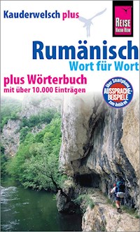 Rumänisch - Wort für Wort plus Wörterbuch -  Jürgen Salzer - E-Book