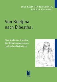 Von Bijeljina nach Eibesthal - Ines Kälin Schreiblehner - E-Book