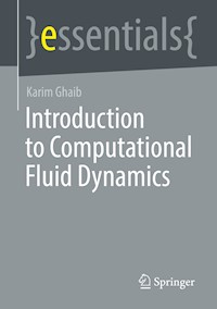 Introduction to Computational Fluid Dynamics - Karim Ghaib - E-Book