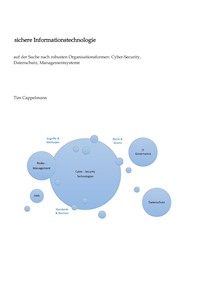 sichere Informationstechnologie - Tim Cappelmann - E-Book