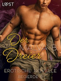 Begierde 5 - Der Dreier: Erotische Novelle - Malva B. - E-Book