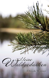 Meine Waldgedanken - Elfriede Wagner - E-Book