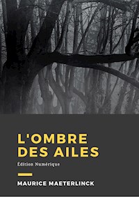 L'ombre des ailes - Maurice Maeterlinck - E-Book