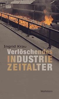 Verlöschendes Industriezeitalter - Ingrid Krau - E-Book