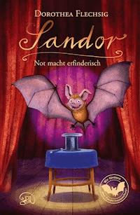 Sandor Not macht erfinderisch - Dorothea Flechsig - E-Book