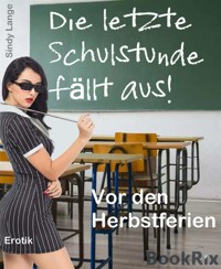 Die letzte Schulstunde fällt aus - Sindy Lange - E-Book
