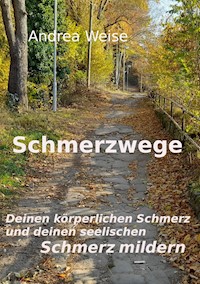 Schmerzwege - Andrea Weise - E-Book