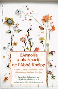 L'armoire à pharmacie de l'Abbé Kneipp - Sebastian Kneipp - E-Book