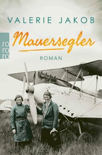 Mauersegler - Valerie Jakob - E-Book