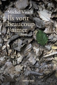 Ils vont beaucoup t'aimer - Michel Visart - E-Book