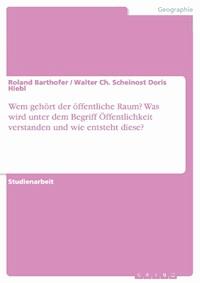 Wem gehört der öffentliche Raum? Was wird unter dem Begriff Öffentlichkeit verstanden und wie entsteht diese? - Roland Barthofer - E-Book