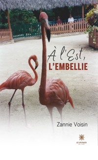 À l’Est, l’embellie - Zannie Voisin - E-Book