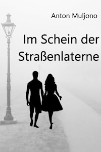 Im Schein der Straßenlaterne - Anton Muljono - E-Book