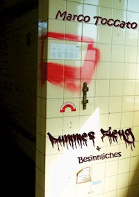 Dummes Zeug & Besinnliches - Marco Toccato - E-Book