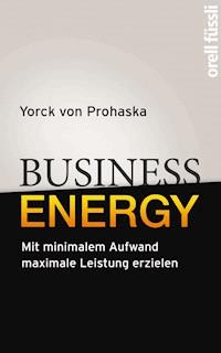 Business Energy - Yorck von Prohaska - E-Book