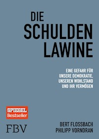 Die Schuldenlawine - Bert Flossbach - E-Book