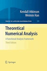 Theoretical Numerical Analysis - Kendall Atkinson - E-Book