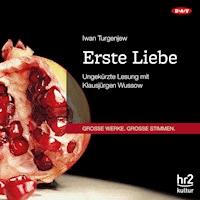 Erste Liebe - Iwan Turgenjew  - Hörbuch